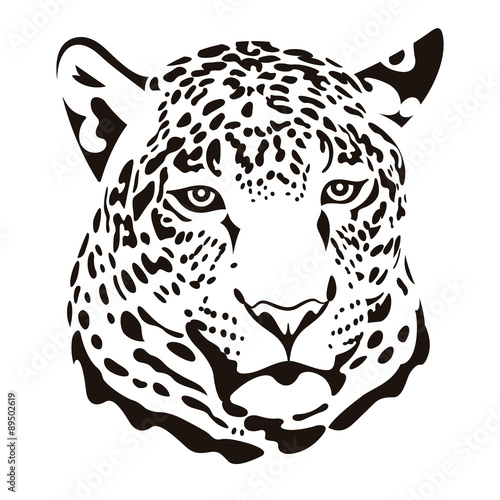 Leopard 002