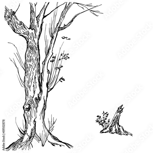 Hand drawn tree silhouette and stump