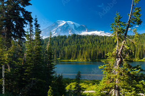 Fototapeta Naklejka Na Ścianę i Meble -  Overlooking a lake and a forest of pine trees with Mt. Rainier l