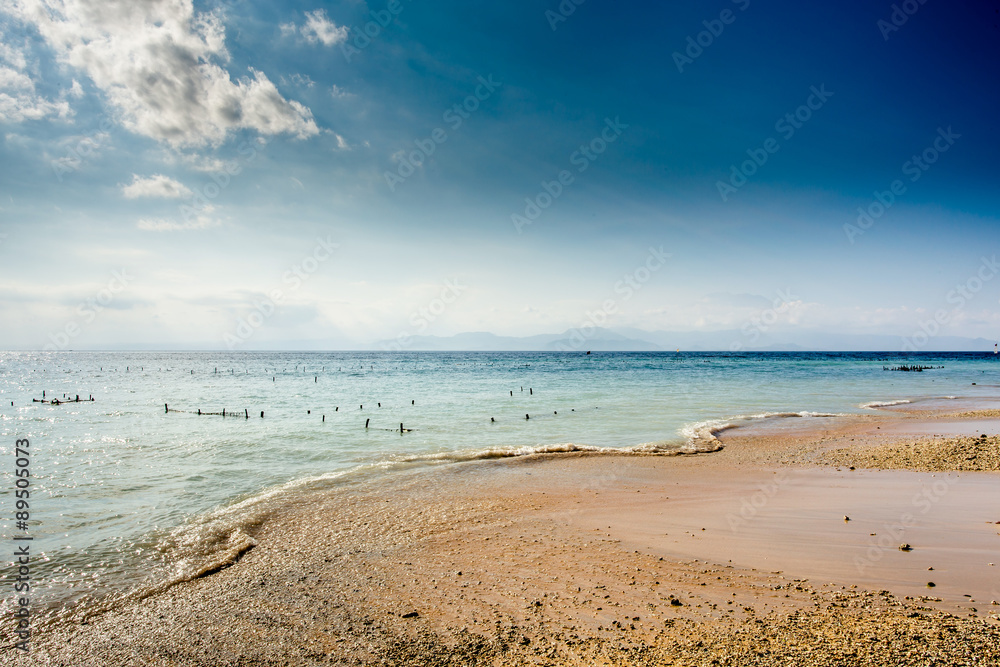 Plantations of seaweed on beach, Algae at low tide