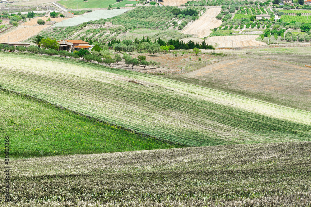 Fototapeta premium Stubble Fields