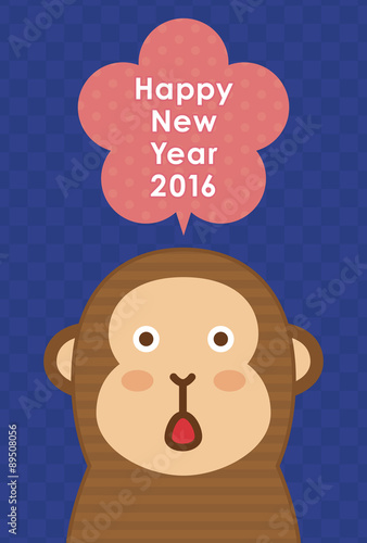 Photography 年賀状2016　さる　happy new year