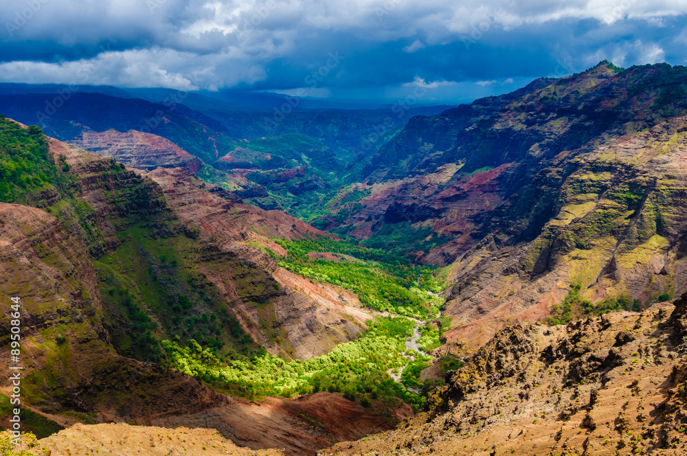 Overlooking Waimea Canyon State Park, Kauai, Hawaii, USA