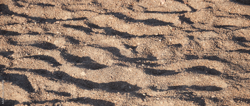 Yellow sand texture for background Yellow sand texture for background