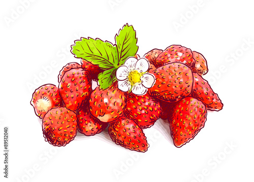 Wild strawberry with flower.