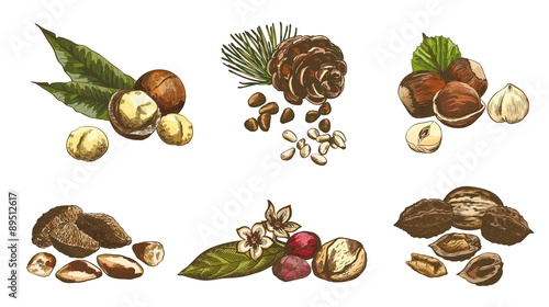 nut set