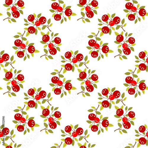 cranberry seamless pattern