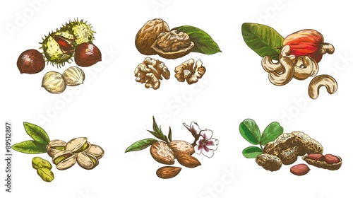 nut set