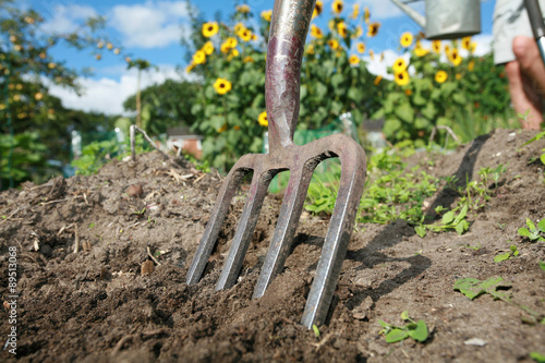 allotment - Stock Image photo