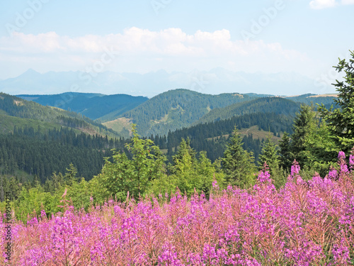 Landschaft in der Niederen Tatra