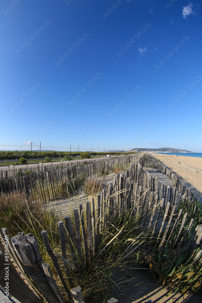 Obraz premium la camargue
