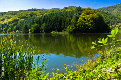 Beautifull nature and greenery at lake in Semenic national park
