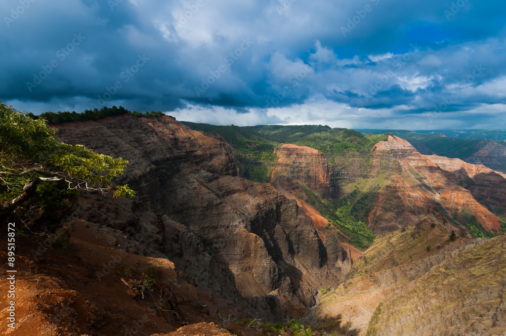 Obraz premium Overlooking Waimea Canyon State Park, Kauai, Hawaii, USA