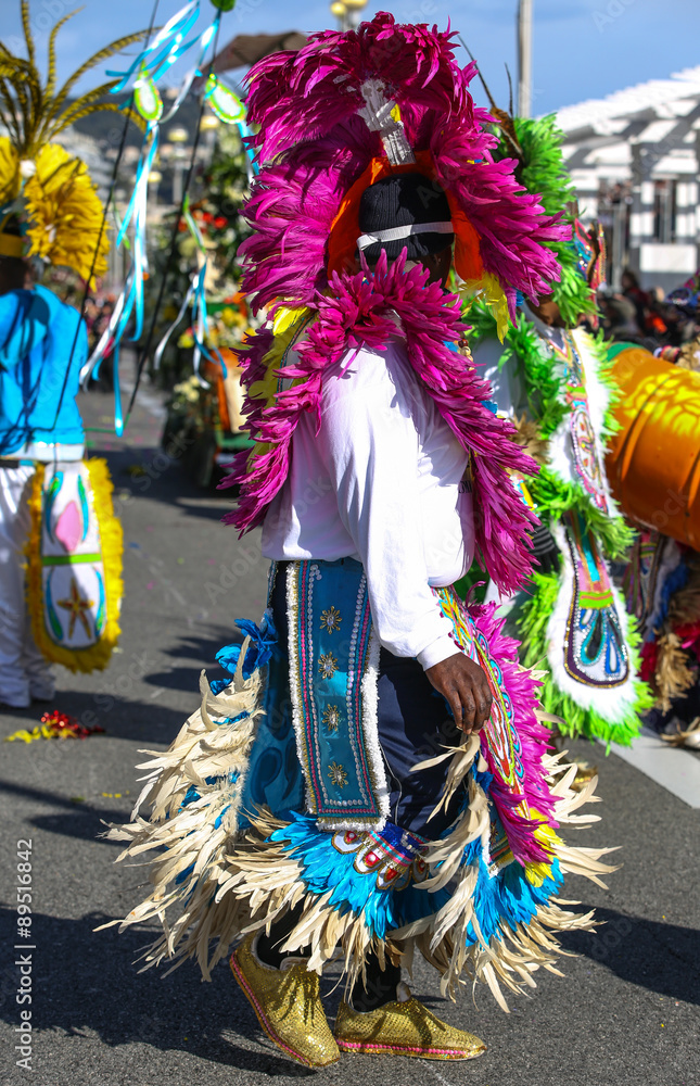 Naklejka premium carnaval de Nice 