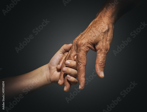 Tableau sur toile palm