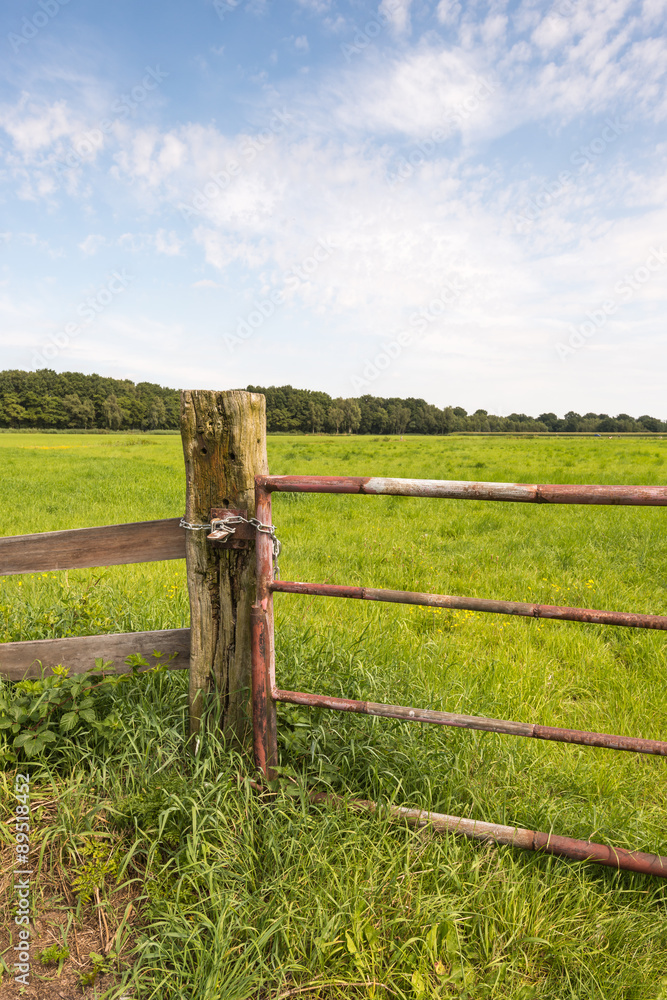 Rusty gate in a rural landscape from close