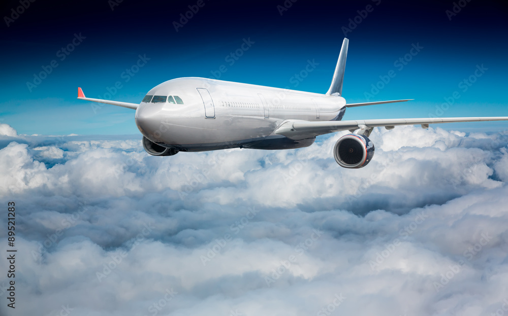 Fototapeta premium Passenger Airliner in the sky