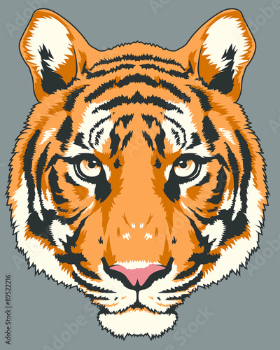 Fototapeta Naklejka Na Ścianę i Meble -  Tiger Head