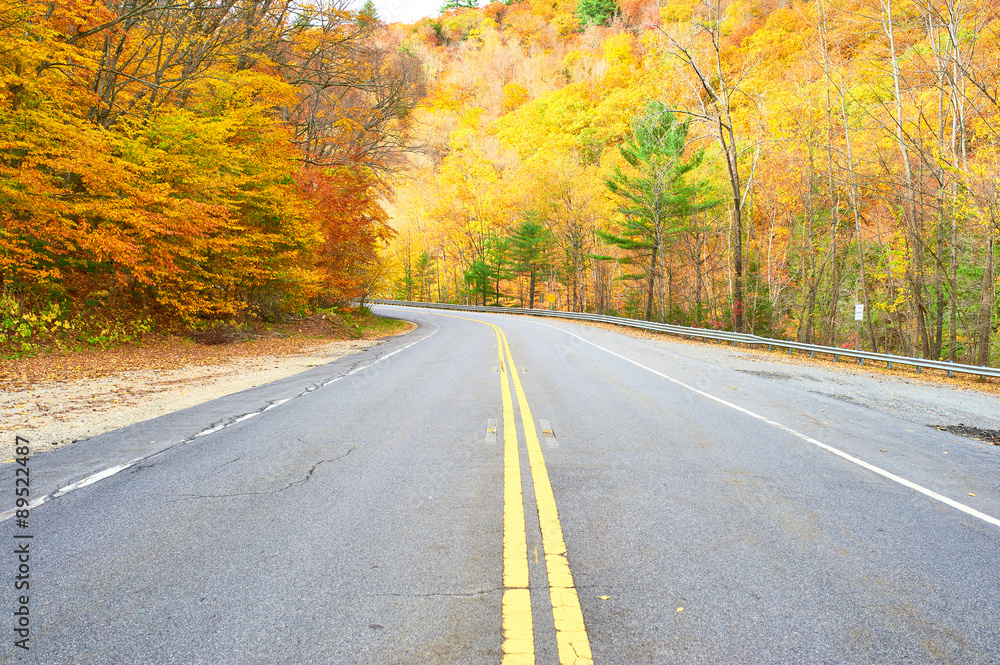 Fototapeta premium Autumn scene with road