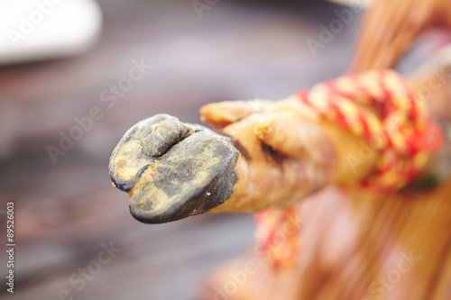 pork leg on a stand