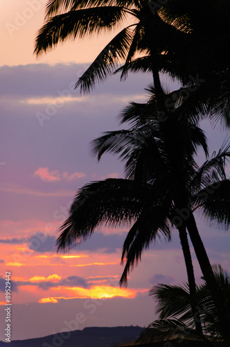 Palm trees silhouetted against a tropical sunset  Kauai  Hawaii 