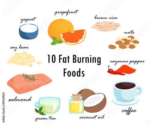 top ten fat burning fat foods vector illustration