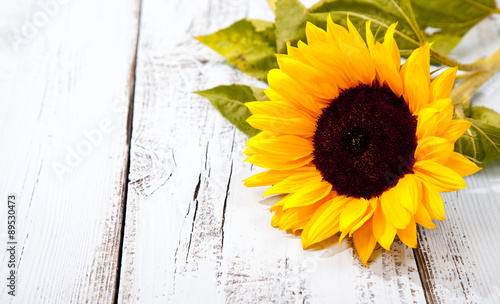 Fototapeta Naklejka Na Ścianę i Meble -  Sunflower on blue white wooden background