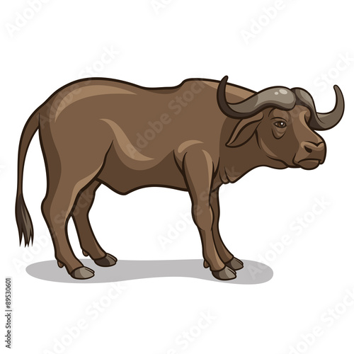 Buffalo 001