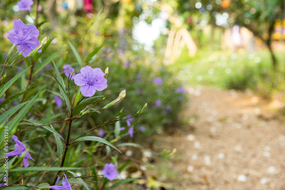 Obraz premium flower in garden