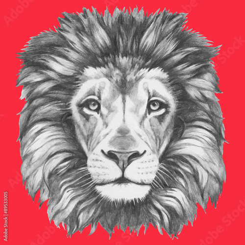 Hand drawn portrait of Lion. Vector