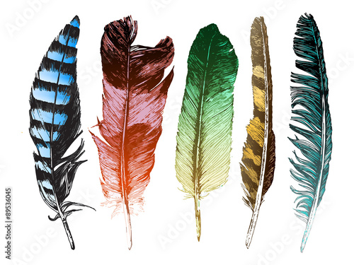 Colorful hand drawn feathers on white background