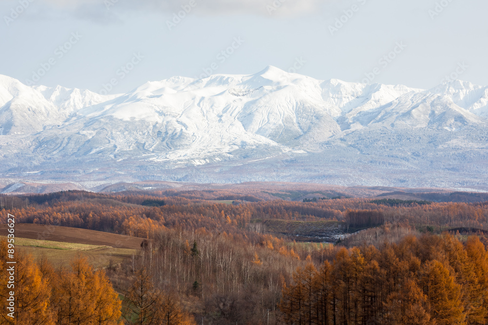 冠雪の大雪山と紅葉
