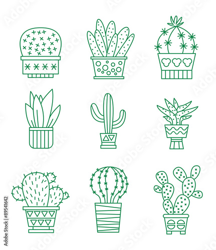 Set of vector cactus icons © topvectors