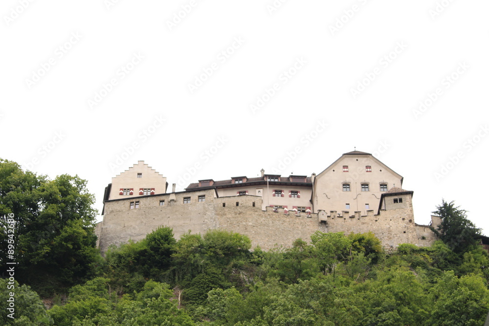 Vaduz Castle in Liechtenstein, Europe. It is the palace and official residence of the Prince of Liechtenstein, built in 12th century.