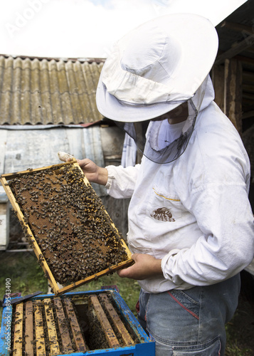 Beekeeper controlling beeyard and calms bees with smoke