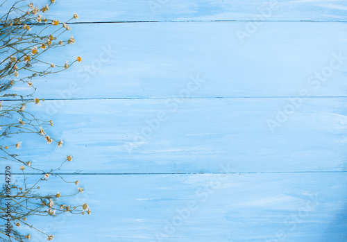 Fototapeta Naklejka Na Ścianę i Meble -  Pastel background.