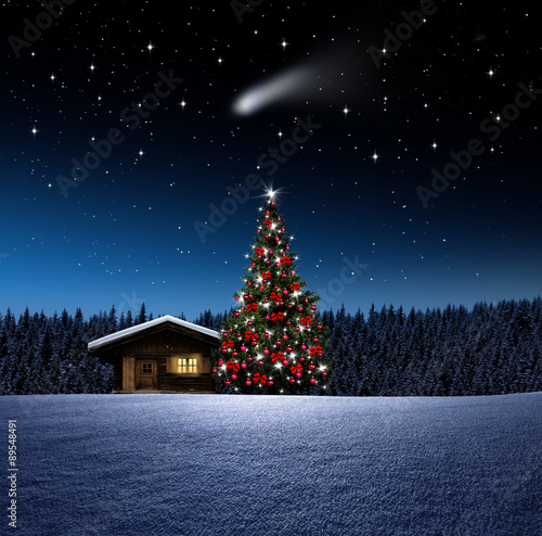 Hütte mit Christbaum be Nact
