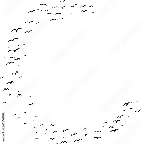 Bird Formation In C
