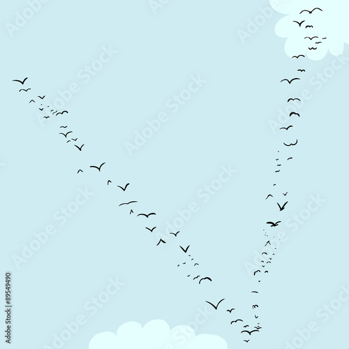 Bird Formation In V