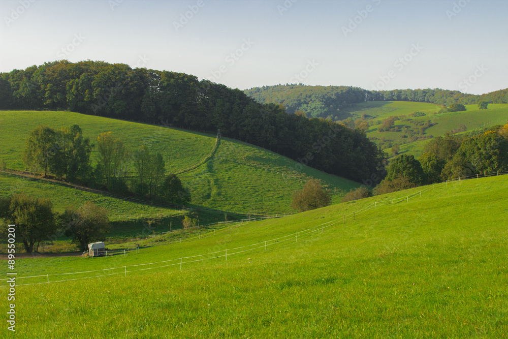 Obraz premium odenwald