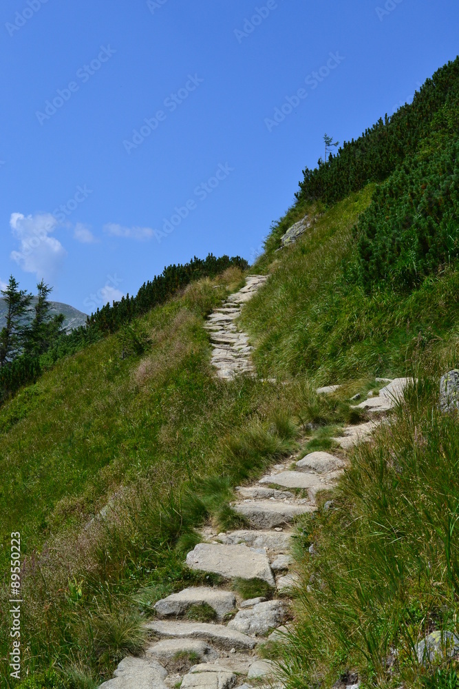 Obraz premium szlak turystyczny w tatrach