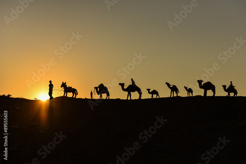 deve kervanı silüet & develer ve gündoğumu photo