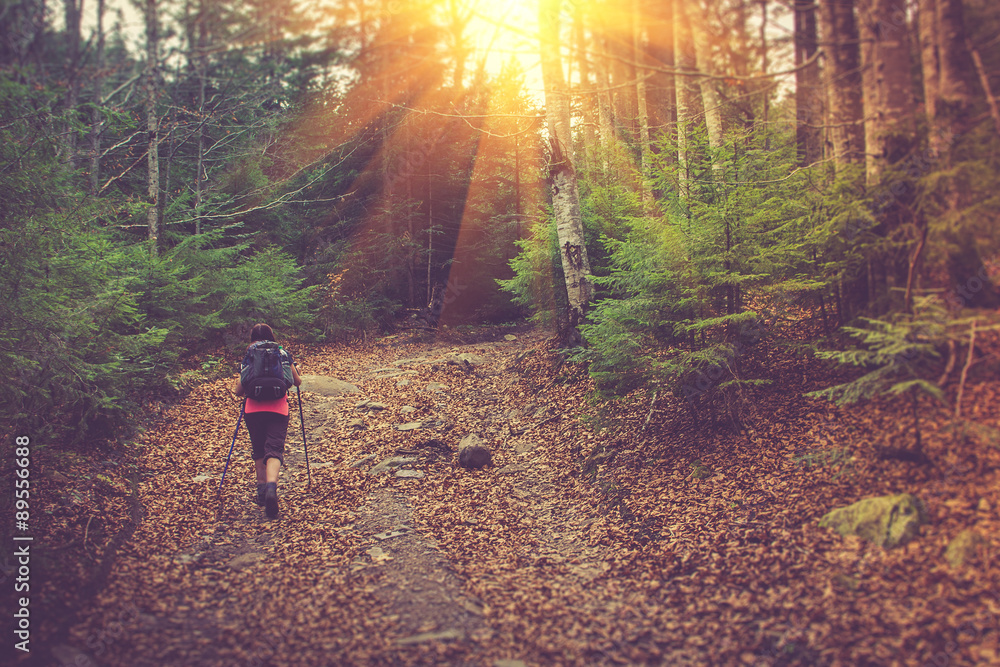 Lone traveler with a backpack walking along the road through the forest in the mountains. Lone traveler with a backpack walking along the road through the forest in the mountains.