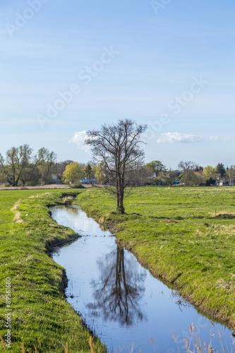 small creek in rural landscape