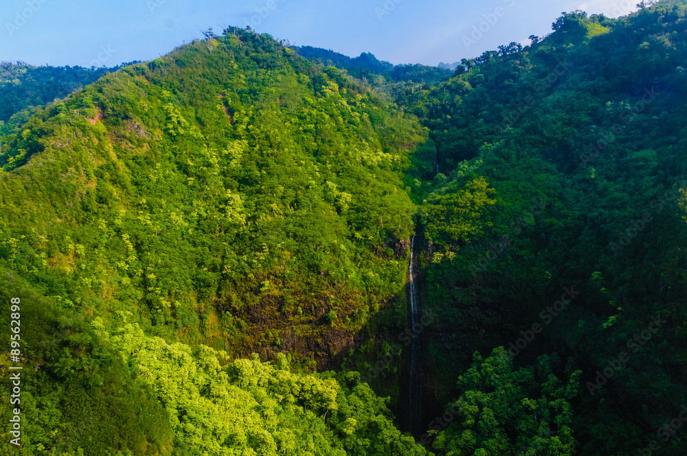 Overlooking a tall waterfall in Waimea Canyon State Park.