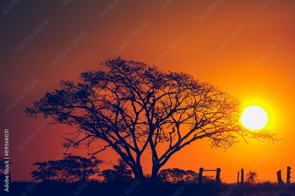pôr do sol no Mato Grosso do Sul