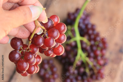 fruit fresh grapes
