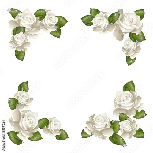 Cartolina rose bianche1