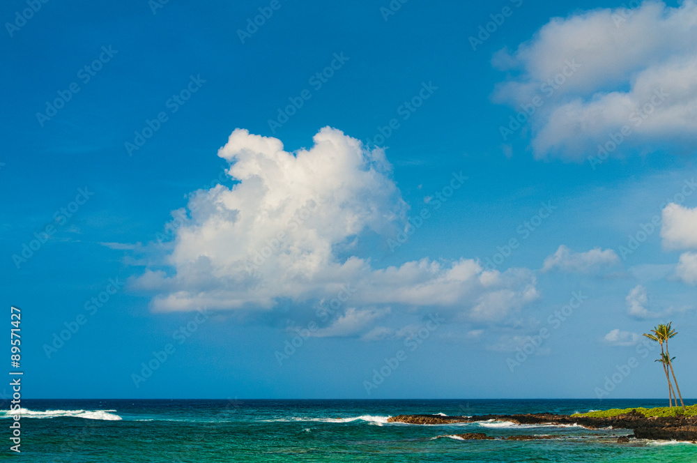 Palm trees on an exotic beach.