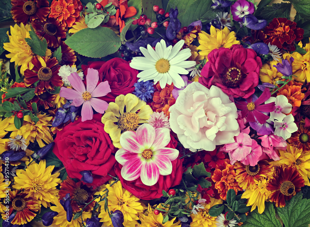 Flower background. A background from cultivated flowers. Stock Photo